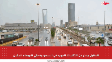 الحقيل يحذر من التقلبات الجوية في السعودية حتى الأربعاء المقبل